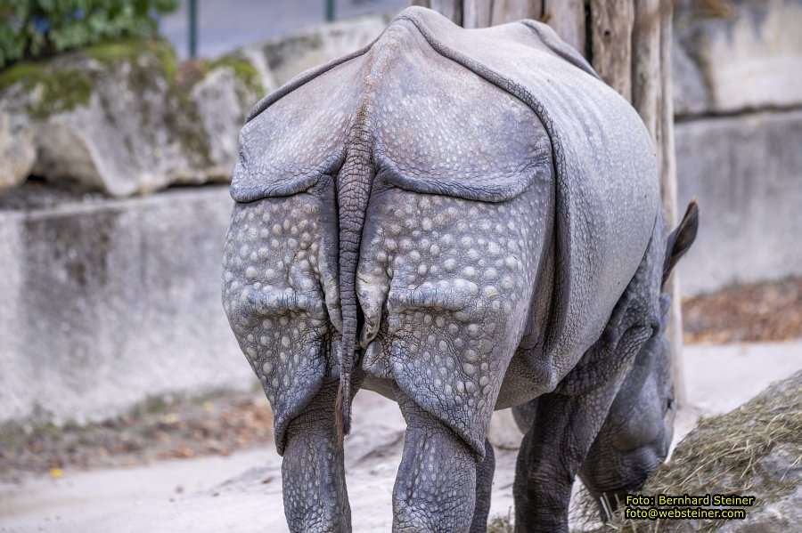 Zoo Vienna - Tiergarten Schnbrunn, Oktober 2023