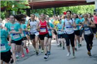 28. sterreichischer Frauenlauf, 31.05.2015