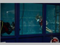 Fotomesse Photo+Adventure in Wien, 17.11.2013