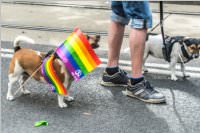 Regenbogenparade in Wien, 18.06.2016