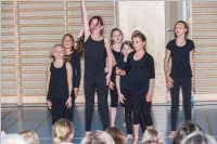 BGZ Wr. Neustadt: Theatergruppe in 'Konferenz der Tiere', 24.05.2016