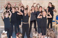 BGZ Wr. Neustadt: Theatergruppe in 'Konferenz der Tiere', 24.05.2016