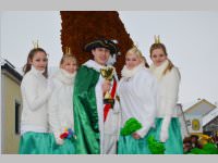 Zillingdorfer Faschingsumzug, 12.02.2013