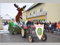 Zillingdorfer Faschingsumzug, 12.02.2013