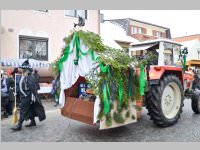 Zillingdorfer Faschingsumzug, 12.02.2013