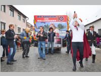 Zillingdorfer Faschingsumzug, 12.02.2013