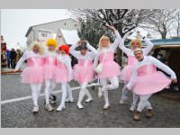 Zillingdorfer Faschingsumzug, 12.02.2013