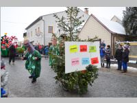 Zillingdorfer Faschingsumzug, 12.02.2013