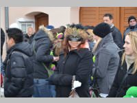Zillingdorfer Faschingsumzug, 12.02.2013