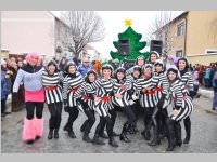 Zillingdorfer Faschingsumzug, 12.02.2013