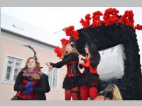 Zillingdorfer Faschingsumzug, 12.02.2013