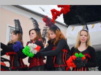 Zillingdorfer Faschingsumzug, 12.02.2013