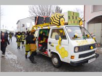 Zillingdorfer Faschingsumzug, 12.02.2013
