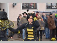 Zillingdorfer Faschingsumzug, 12.02.2013