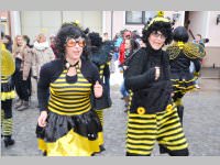 Zillingdorfer Faschingsumzug, 12.02.2013