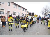 Zillingdorfer Faschingsumzug, 12.02.2013