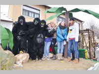Zillingdorfer Faschingsumzug, 12.02.2013