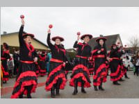 Zillingdorfer Faschingsumzug, 04.03.2014