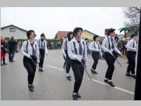 Zillingdorfer Faschingsumzug, 04.03.2014