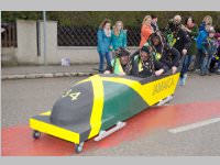 Zillingdorfer Faschingsumzug, 04.03.2014