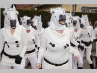 Zillingdorfer Faschingsumzug, 04.03.2014