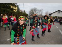 Zillingdorfer Faschingsumzug, 04.03.2014