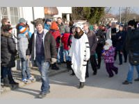 Zillingdorfer Faschingsumzug, 17.02.2015