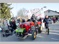 Zillingdorfer Faschingsumzug, 17.02.2015