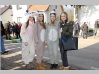 Zillingdorfer Faschingsumzug, 17.02.2015