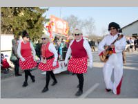 Zillingdorfer Faschingsumzug, 17.02.2015