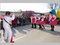Zillingdorfer Faschingsumzug, 17.02.2015