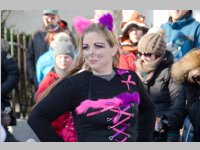 Zillingdorfer Faschingsumzug, 17.02.2015