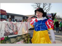 Zillingdorfer Faschingsumzug, 17.02.2015