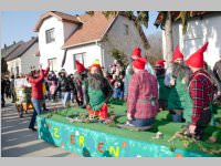 Zillingdorfer Faschingsumzug, 17.02.2015