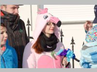 Zillingdorfer Faschingsumzug, 17.02.2015