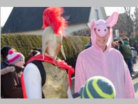 Zillingdorfer Faschingsumzug, 17.02.2015