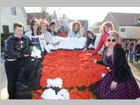 Zillingdorfer Faschingsumzug, 17.02.2015