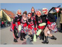 Zillingdorfer Faschingsumzug, 17.02.2015
