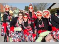 Zillingdorfer Faschingsumzug, 17.02.2015