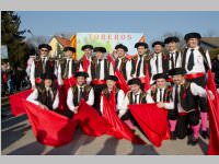 Zillingdorfer Faschingsumzug, 17.02.2015