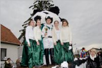 Zillingdorfer Faschingsumzug, 09.02.2016
