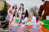 Zillingdorfer Faschingsumzug, 09.02.2016