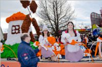 Zillingdorfer Faschingsumzug, 09.02.2016