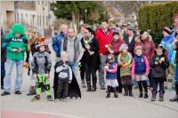 Zillingdorfer Faschingsumzug, 09.02.2016