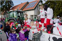 Zillingdorfer Faschingsumzug, 09.02.2016