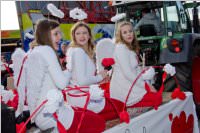 Zillingdorfer Faschingsumzug, 09.02.2016
