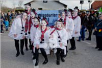 Zillingdorfer Faschingsumzug, 09.02.2016