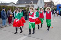 Zillingdorfer Faschingsumzug, 09.02.2016