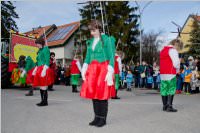 Zillingdorfer Faschingsumzug, 09.02.2016