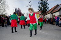 Zillingdorfer Faschingsumzug, 09.02.2016